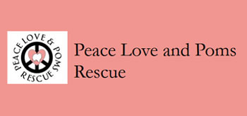 Peace Love and Poms Rescue